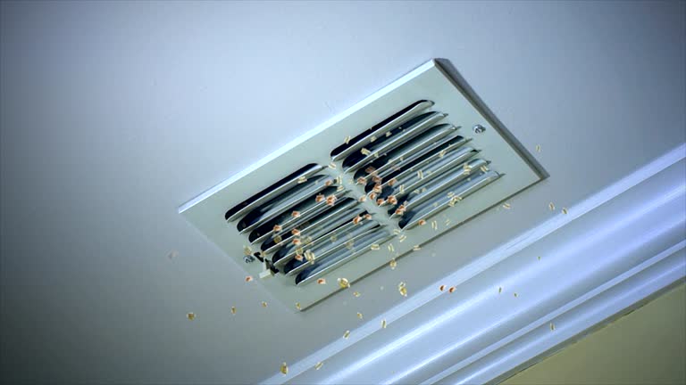 Best Local Air Duct Cleaning Services  in Montauk, NY